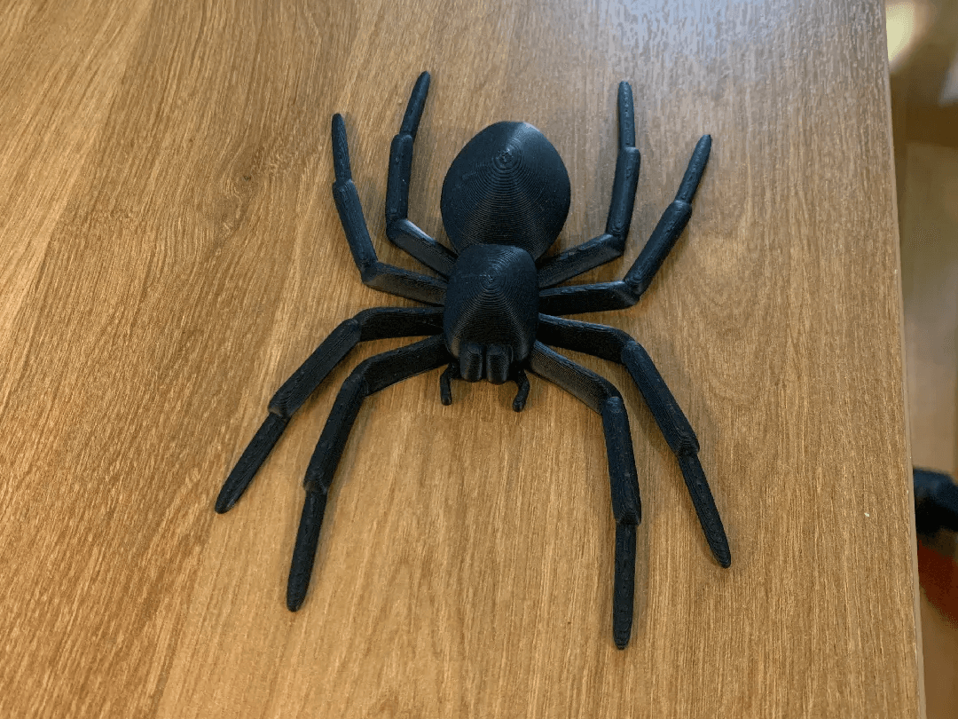Halloween Spider Decoration